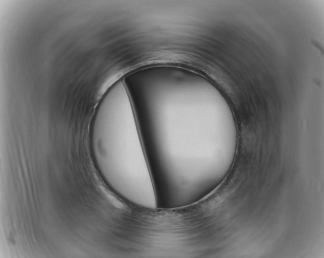X0000099440842200805090746