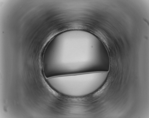 X0000099440843200805090746