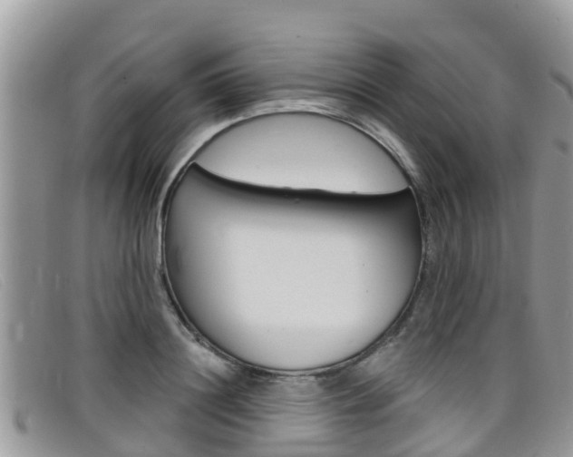 X0000099440844200805090746