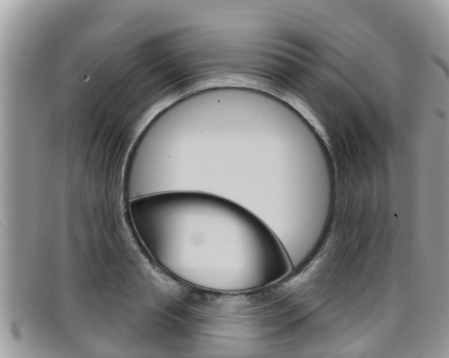 X0000099440845200805090746