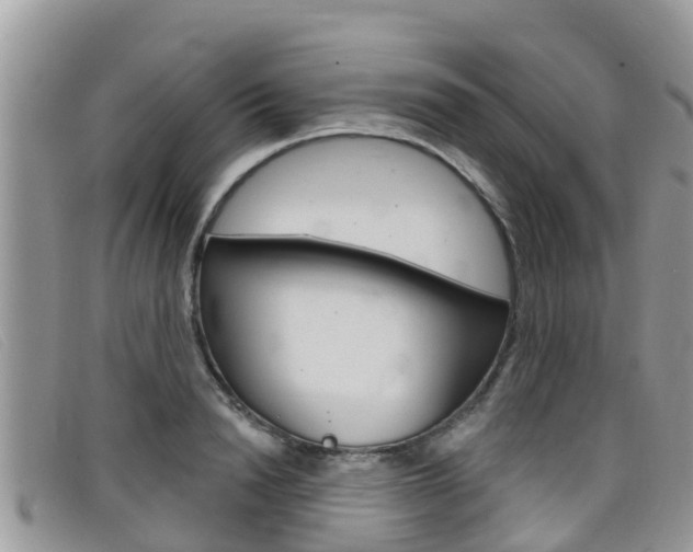 X0000099440846200805090746