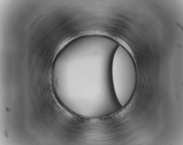 X0000099440847200805090746