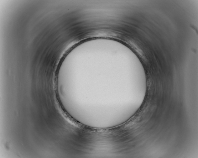 X0000099440848200805090746