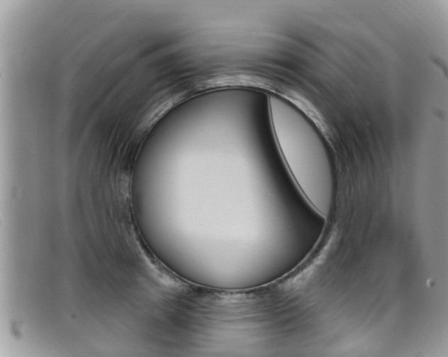 X0000099440849200805090746