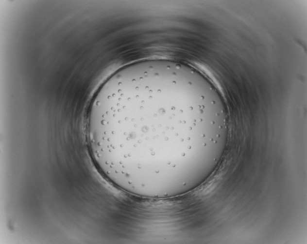 X0000099440851200805090746