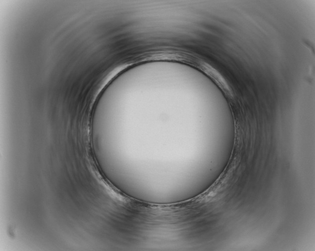 X0000099440852200805090746