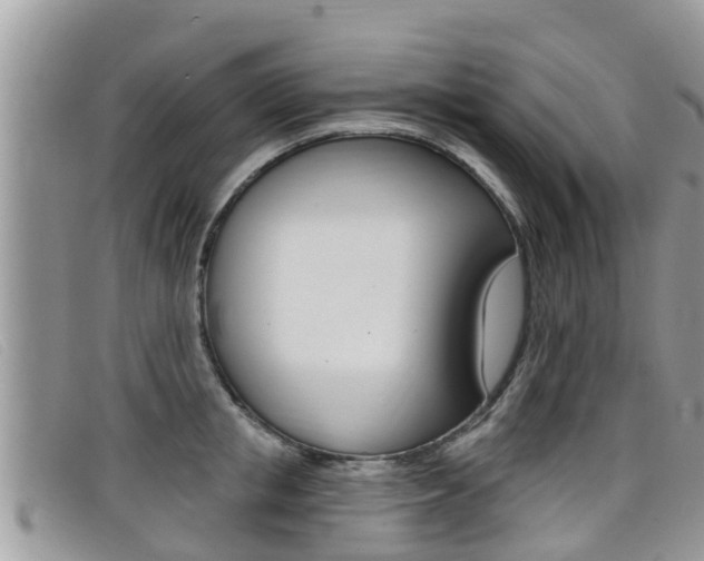X0000099440853200805090746