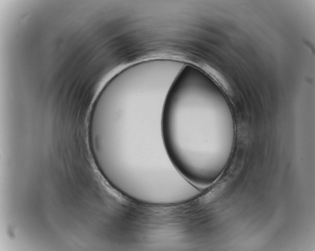 X0000099440854200805090746