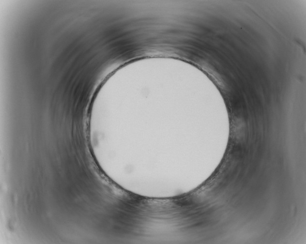 X0000099440856200805090746