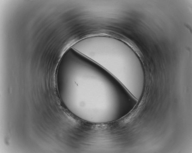 X0000099440858200805090746