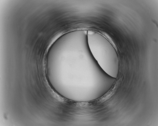 X0000099440859200805090746