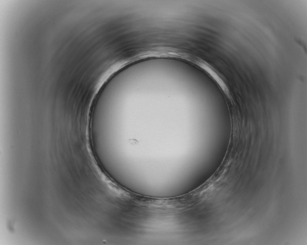 X0000099440861200805090746