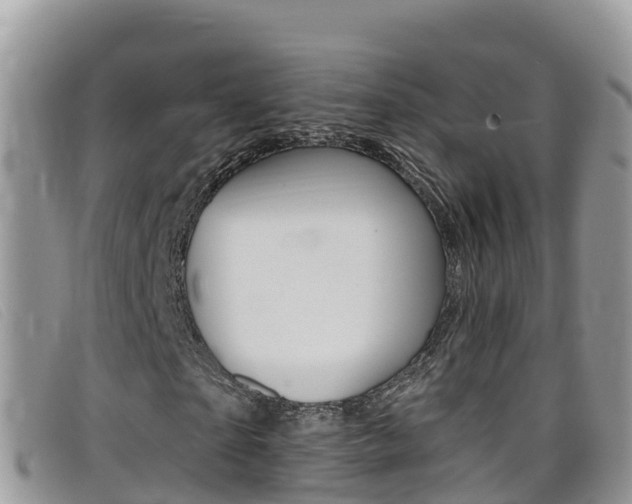 X0000099440865200805090746