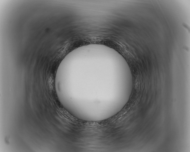X0000099440866200805090746