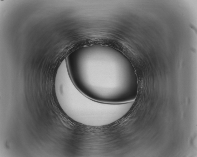 X0000099440868200805090746
