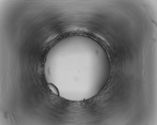 X0000099440869200805090746