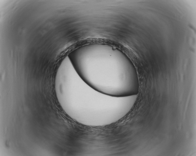X0000099440870200805090746