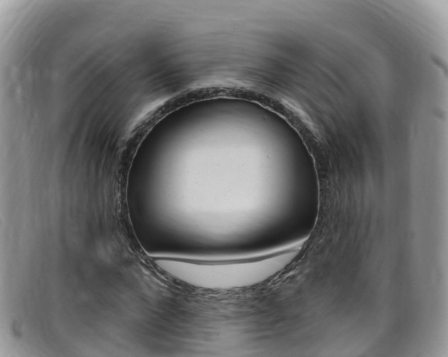 X0000099440872200805090746