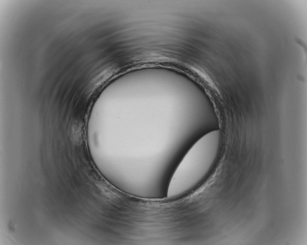 X0000099440873200805090746