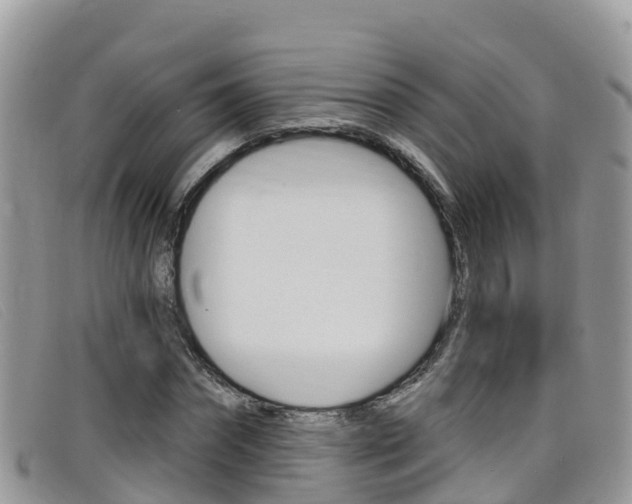 X0000099440874200805090746