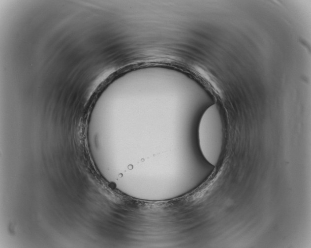 X0000099440875200805090745