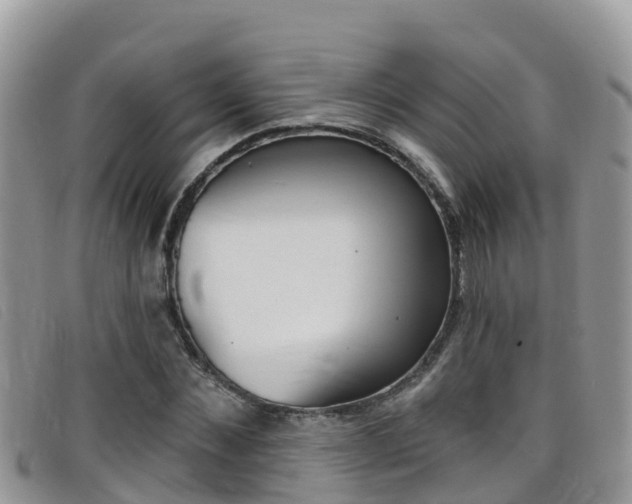 X0000099440876200805090745