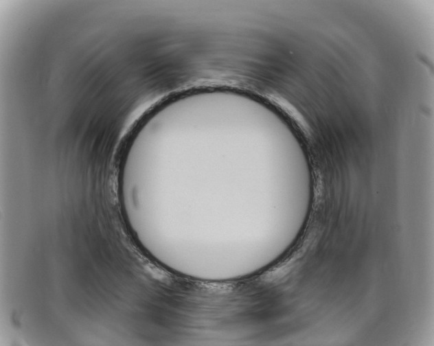X0000099440878200805090745