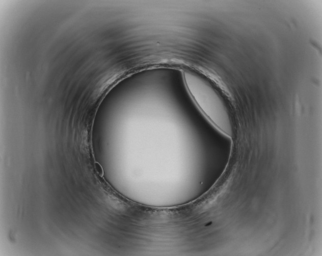 X0000099440881200805090745