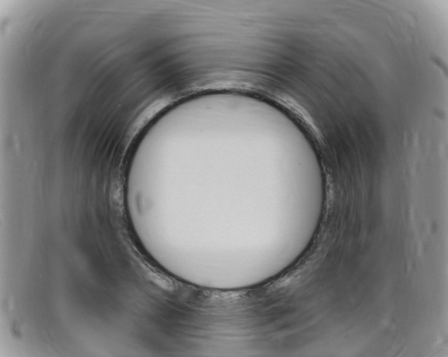 X0000099440882200805090745