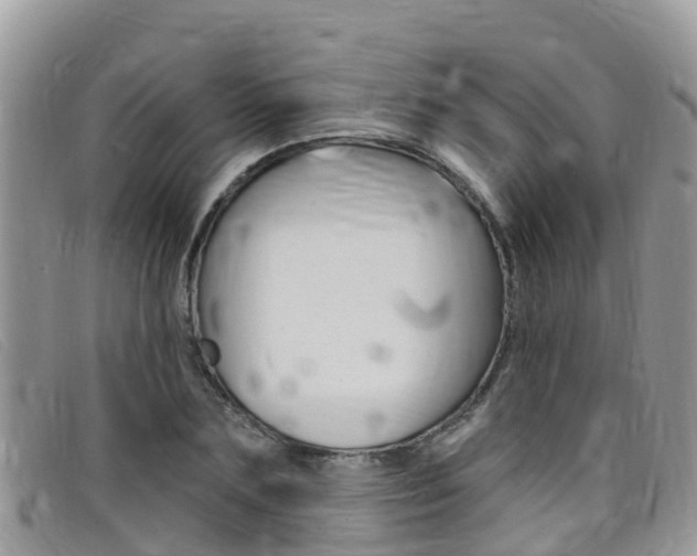 X0000099440883200805090745