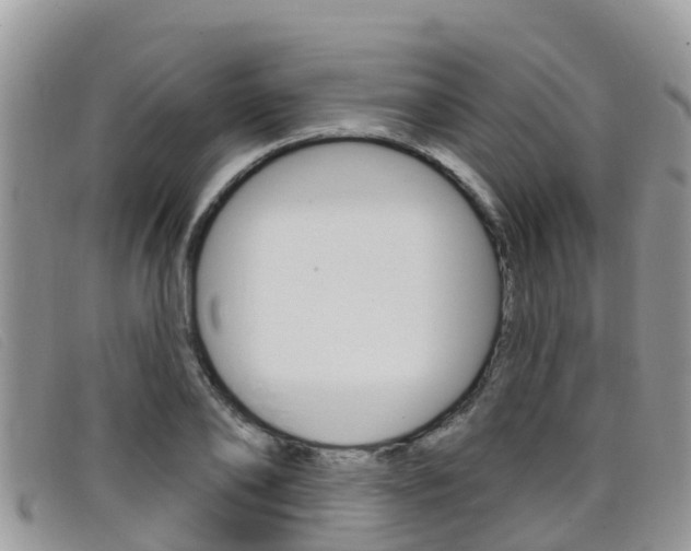 X0000099440886200805090745