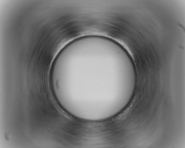 X0000099440887200805090745