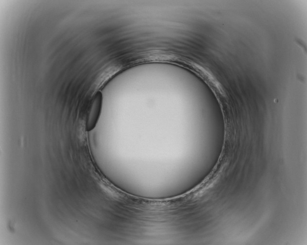 X0000099440889200805090745