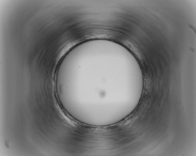 X0000099440890200805090745