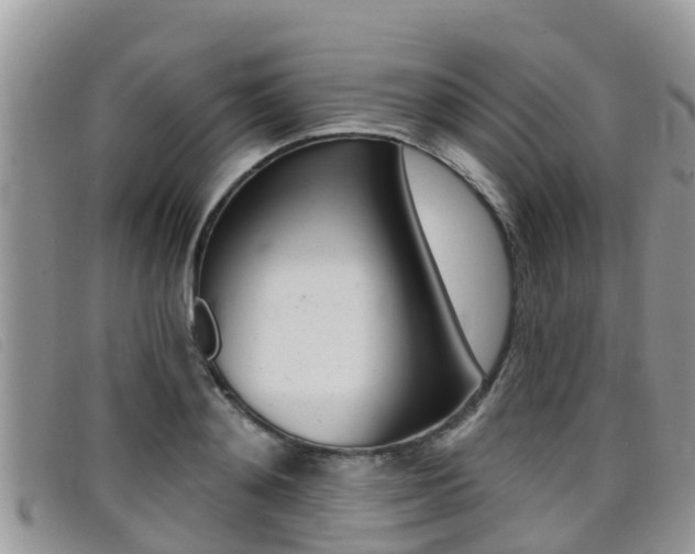 X0000099440892200805090745