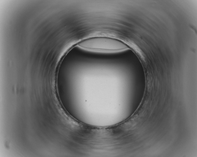 X0000099440896200805090745