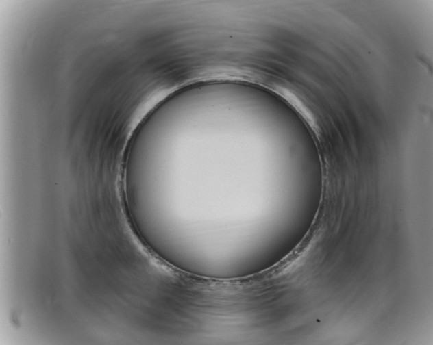 X0000099440901200805090745