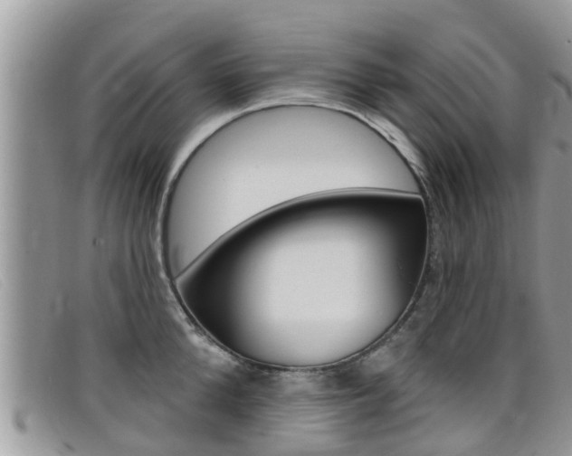 X0000099440904200805090745