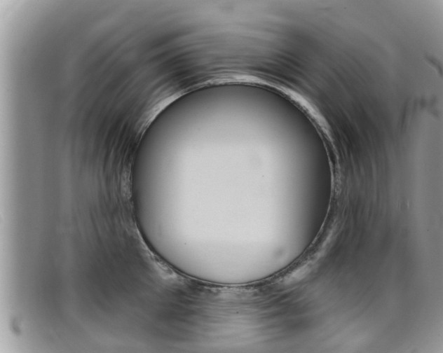 X0000099440905200805090745