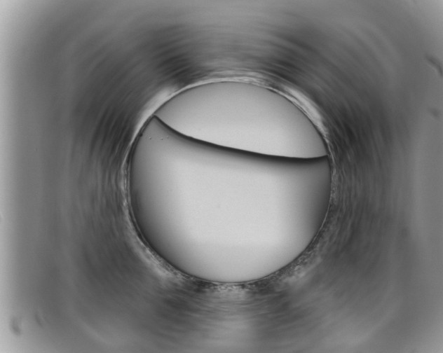 X0000099440907200805090745