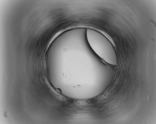X0000099440911200805090745