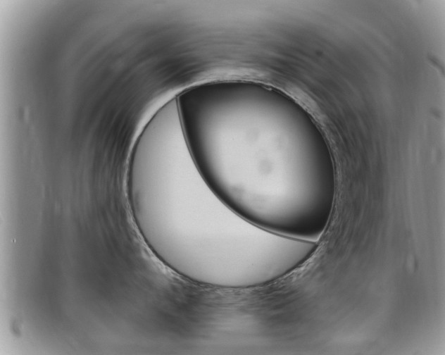 X0000099440912200805090745