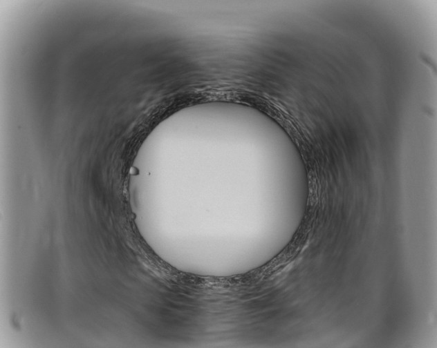 X0000099440913200805090744