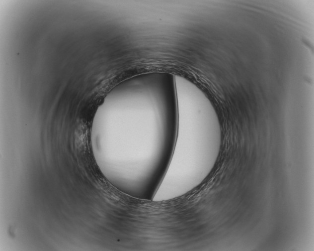 X0000099440914200805090744