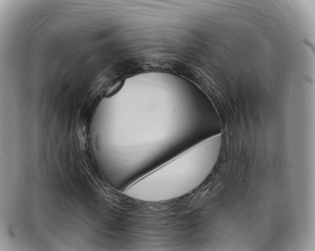 X0000099440915200805090744