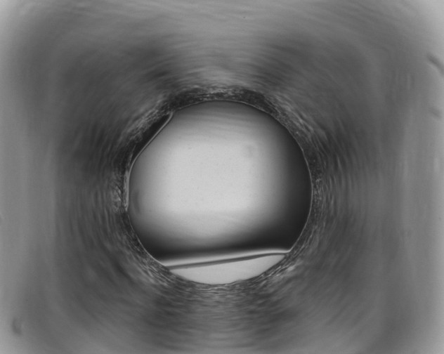 X0000099440916200805090744