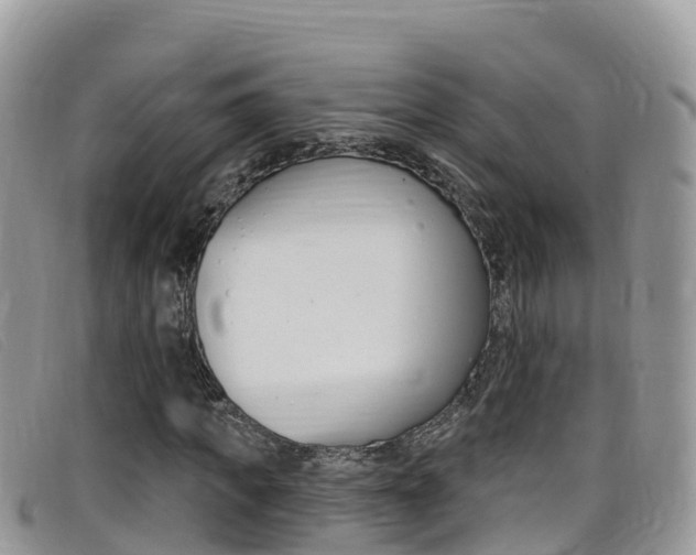X0000099440917200805090744