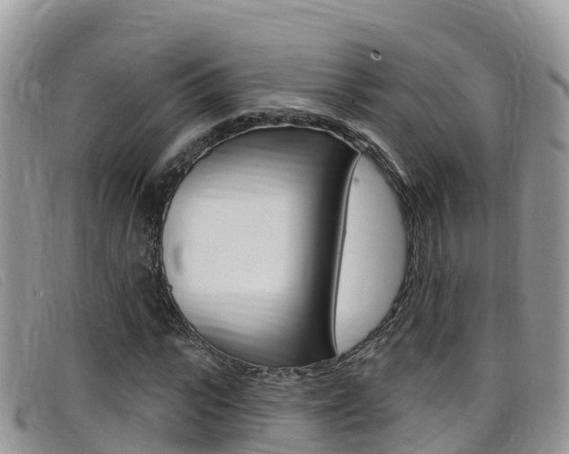 X0000099440919200805090744
