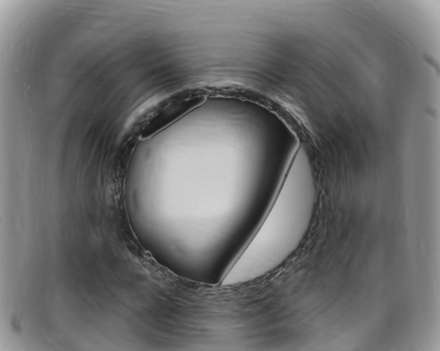 X0000099440920200805090744