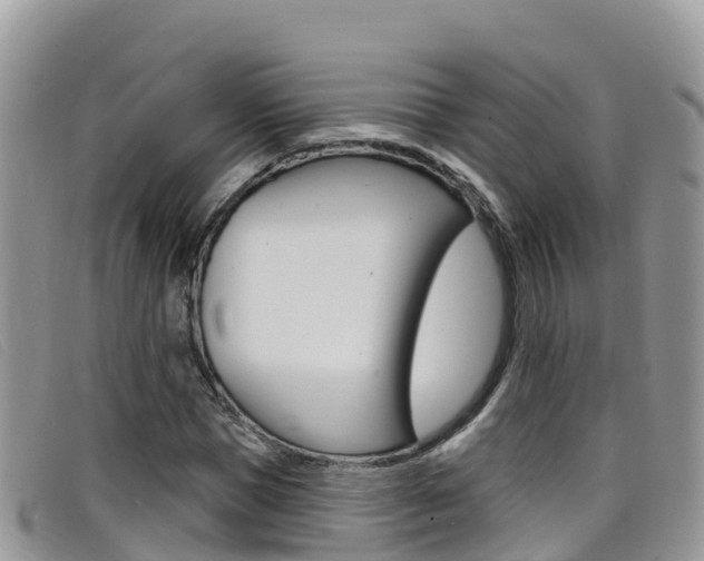 X0000099440921200805090744